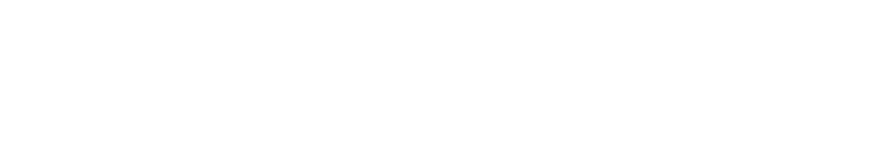 SE Logo White Horizontal
