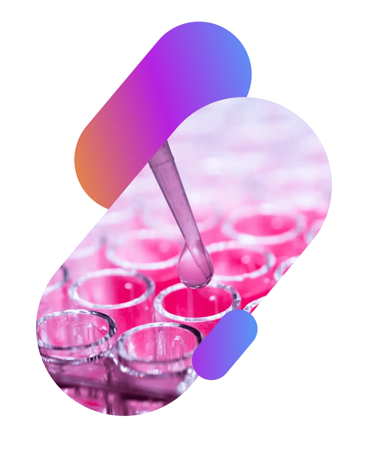 Science Exchange
