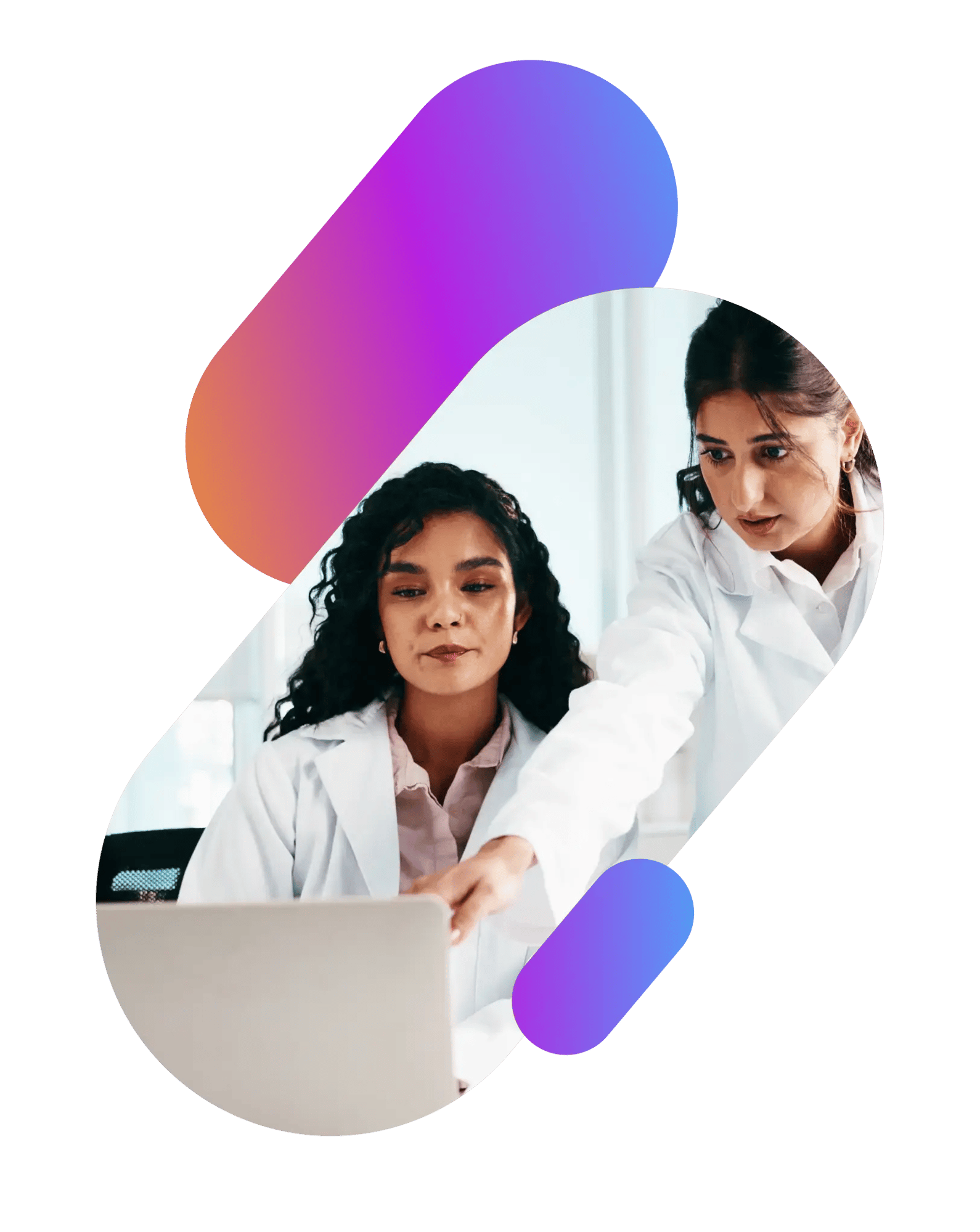 procurement-SE-assistant procurement-SE-assistant