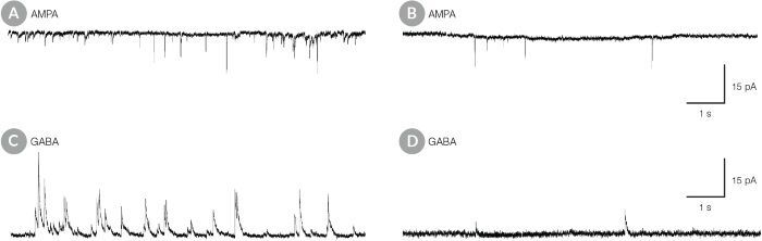 Fig 4 _ BrainPhysTM Neuronal Medium
