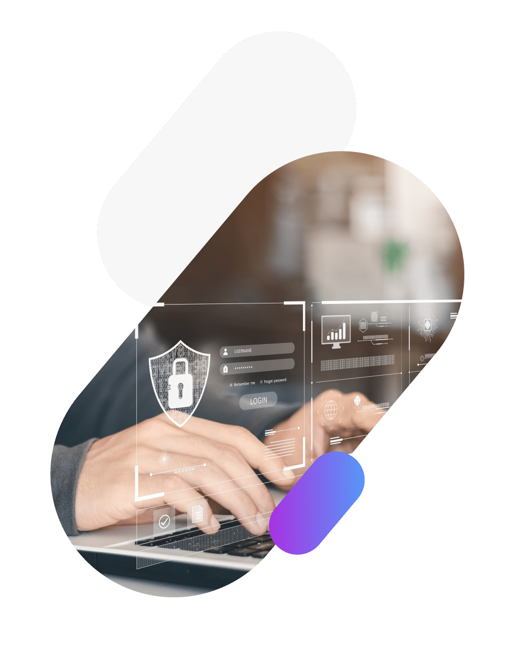 SCIEX - REG - Images - Supplier Pages - Supplier Qualification1_5x SCIEX - REG - Images - Supplier Pages - Supplier Qualification1_5x