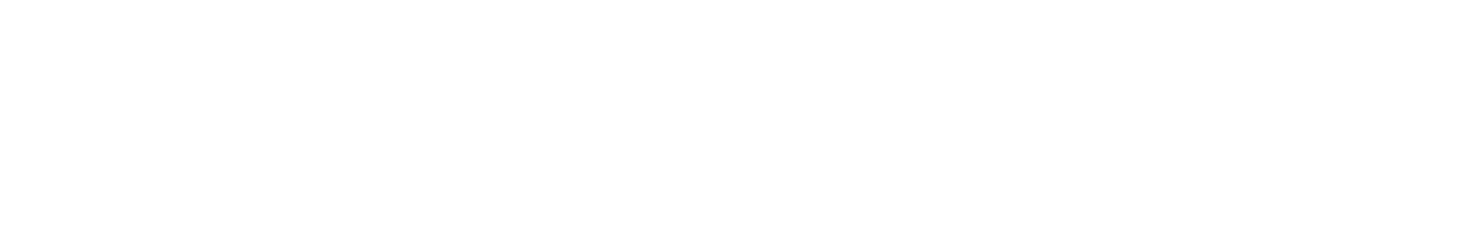 SE Logo White Horizontal