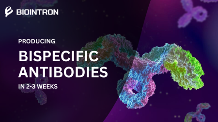 Producing bispecific antibodies with a 2-3 week...
